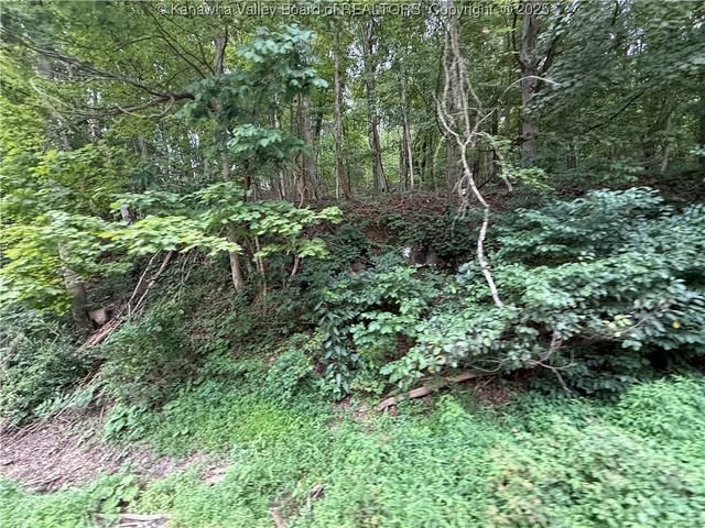 1037 MacCorkle Avenue, St Albans, WV 25177