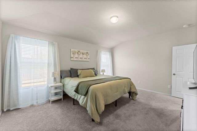 14306 Wallis Cove Drive, Houston, TX 77068