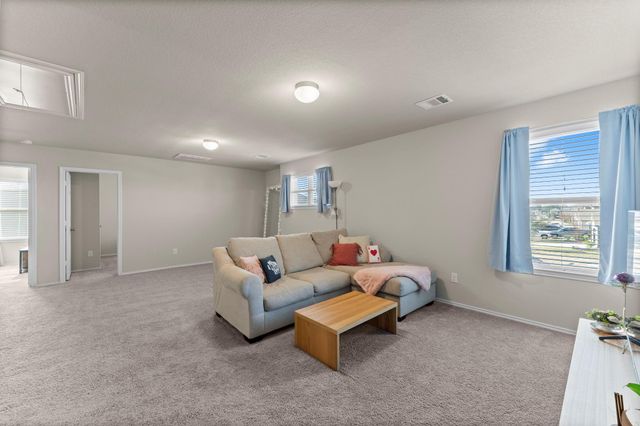 14306 Wallis Cove Drive, Houston, TX 77068