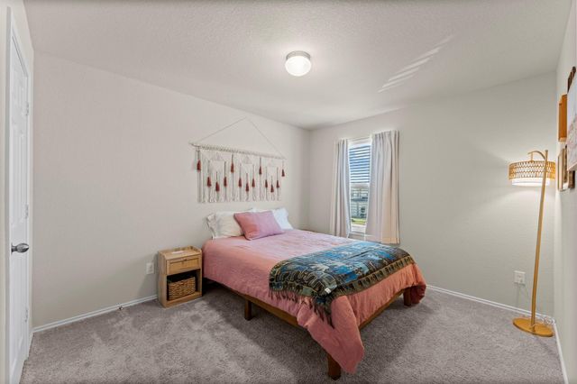 14306 Wallis Cove Drive, Houston, TX 77068