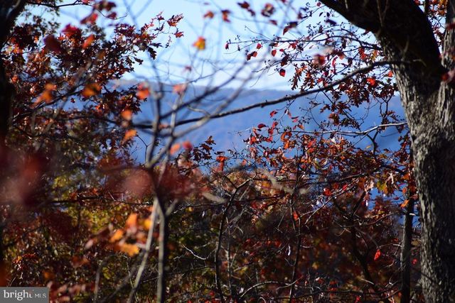 152.44 ACRES LOT 2 LAUREL GROVE RD, Winchester, VA 22602