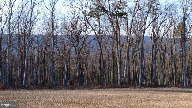 152.44 ACRES LOT 2 LAUREL GROVE RD, Winchester, VA 22602