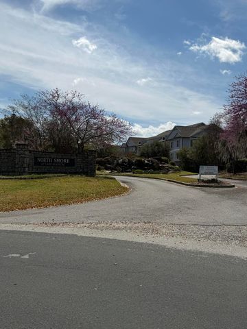 1130 Bridge View Lane C101, Summerton, SC 29148
