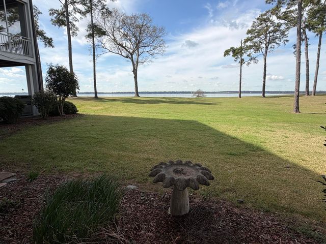 1130 Bridge View Lane C101, Summerton, SC 29148