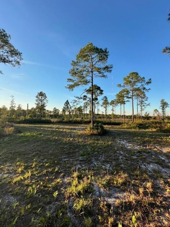 0 SEAGRAPE AVENUE, Eustis, FL 32736