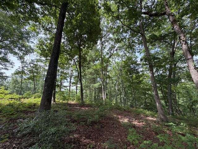 Lot 20 Lake Top Lane, Ellijay, GA 30540