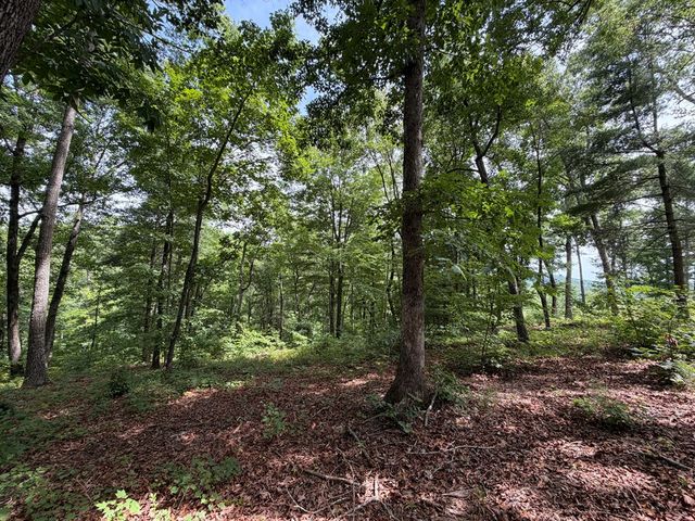 Lot 20 Lake Top Lane, Ellijay, GA 30540