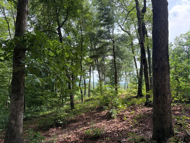 Lot 20 Lake Top Lane, Ellijay, GA 30540