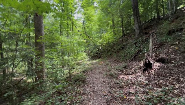 Lot 20 Lake Top Lane, Ellijay, GA 30540