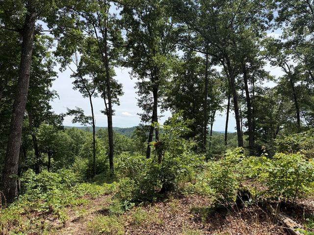 Lot 20 Lake Top Lane, Ellijay, GA 30540
