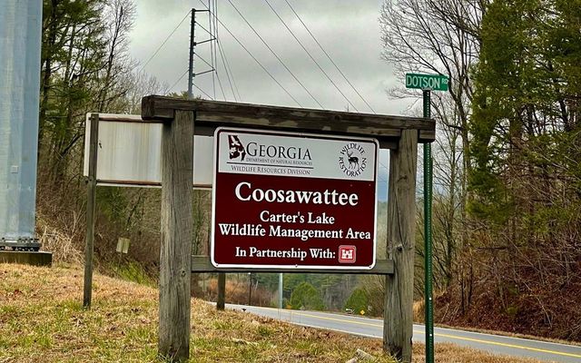 Lot 20 Lake Top Lane, Ellijay, GA 30540