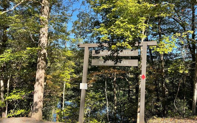 Lot 20 Lake Top Lane, Ellijay, GA 30540