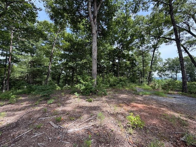 Lot 20 Lake Top Lane, Ellijay, GA 30540
