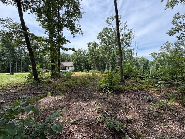 Lot 20 Lake Top Lane, Ellijay, GA 30540