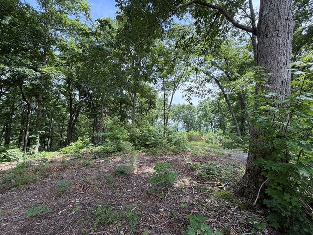 Lot 20 Lake Top Lane, Ellijay, GA 30540