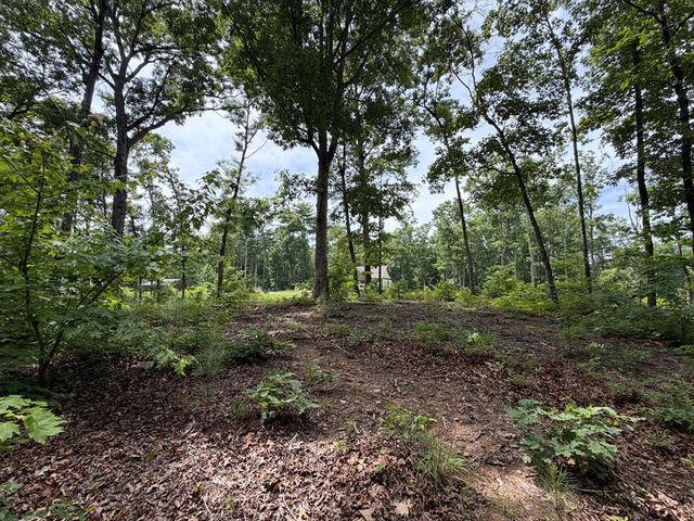 Lot 20 Lake Top Lane, Ellijay, GA 30540