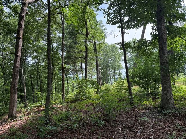 Lot 20 Lake Top Lane, Ellijay, GA 30540