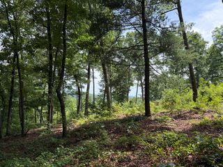 Lot 20 Lake Top Lane, Ellijay, GA 30540