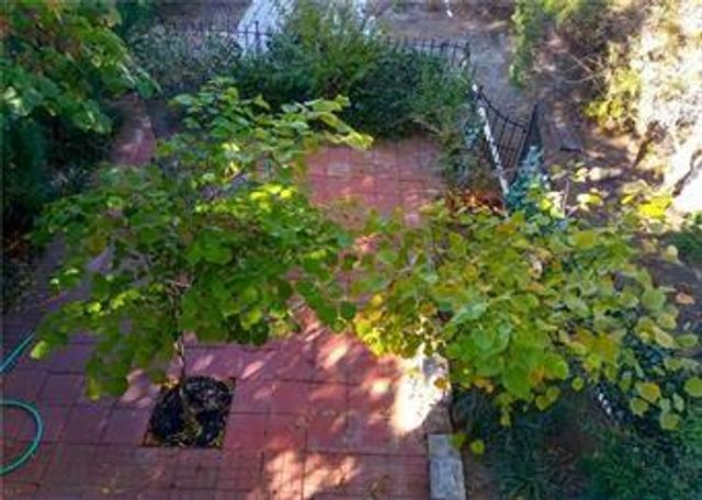 702 S Spruce Street, Coffeyville, KS 67337