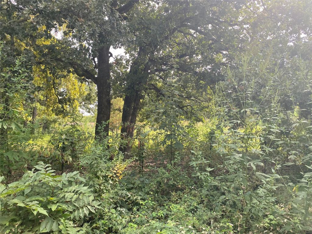 TBD LOT 4 AND 5 GOLDWATER, Kemp, TX 75143