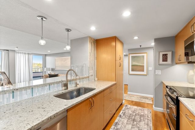 20 Webster St 505, Brookline, MA 02446