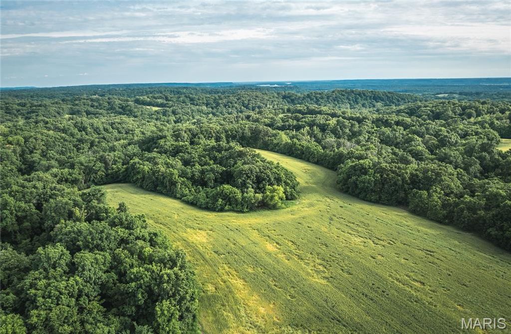 Image 4 of property listing at 90 Jug Hollow Road, Hardin, IL 62047