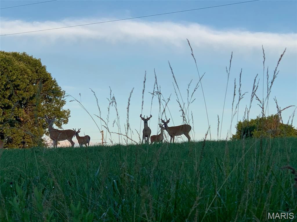 Image 59 of property listing at 90 Jug Hollow Road, Hardin, IL 62047