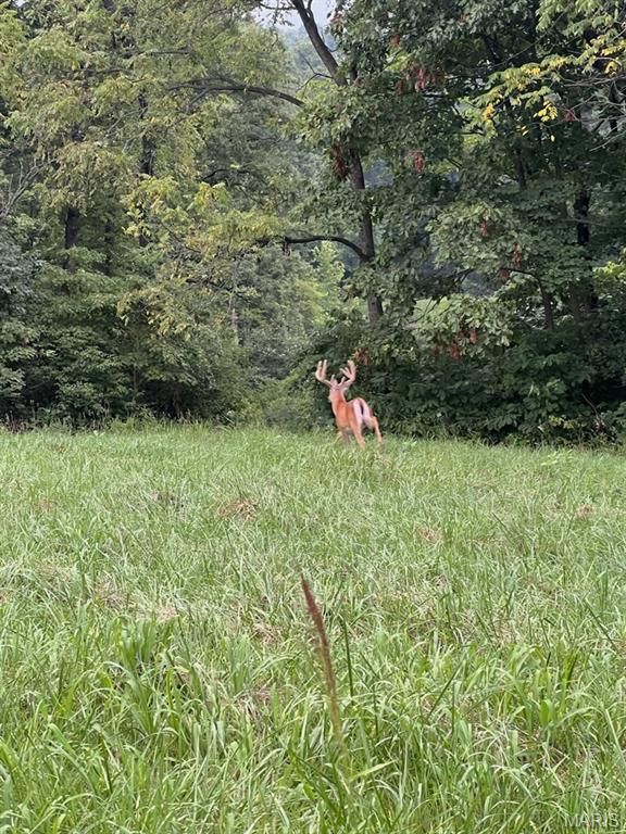 Image 64 of property listing at 90 Jug Hollow Road, Hardin, IL 62047
