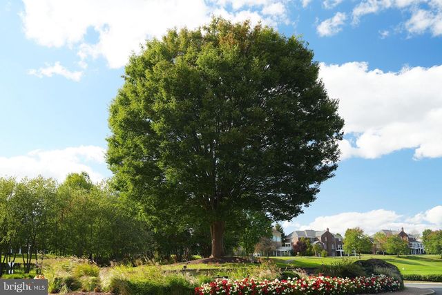 19883 NAPLES LAKES TER, Ashburn, VA 20147