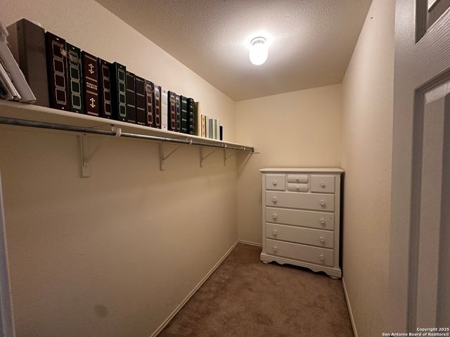 9528 Braun, San Antonio, TX 78254