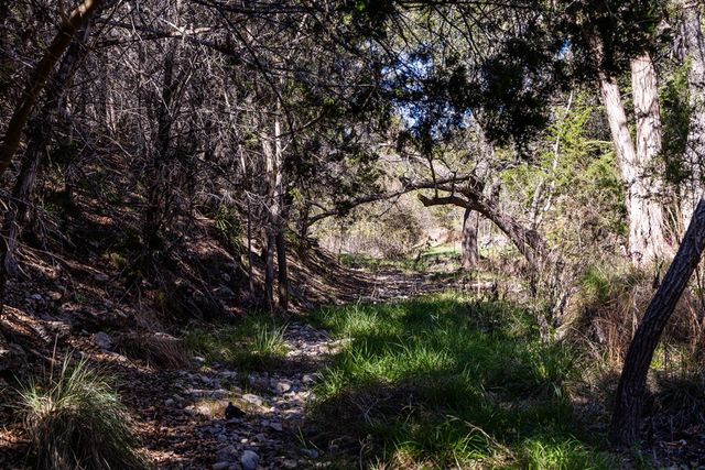 113 Spring Branch Dr., Kerrville, TX 78028