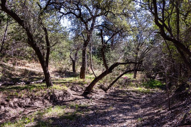 113 Spring Branch Dr., Kerrville, TX 78028