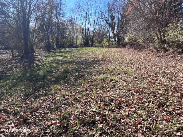 OFF Jefferson St, White Pine, TN 37890