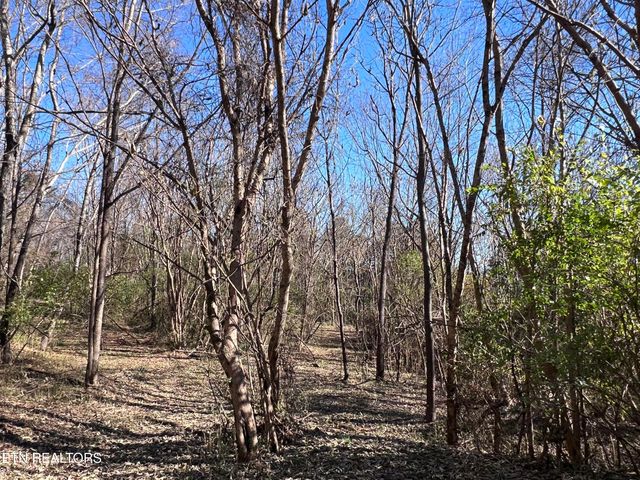 OFF Jefferson St, White Pine, TN 37890