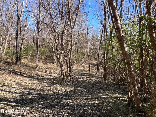 OFF Jefferson St, White Pine, TN 37890