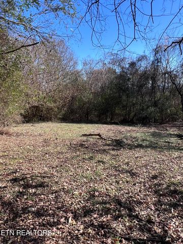 OFF Jefferson St, White Pine, TN 37890