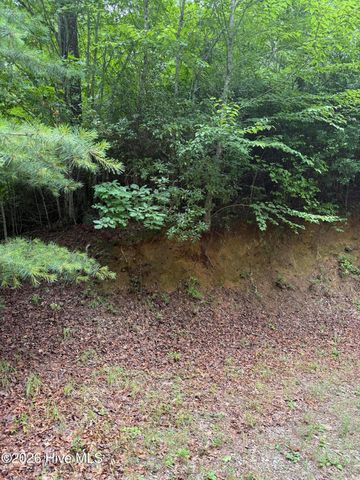 Lot 3 Mountain Vista Lane, Topton, NC 28781