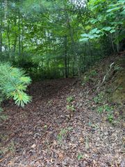 Lot 3 Mountain Vista Lane, Topton, NC 28781