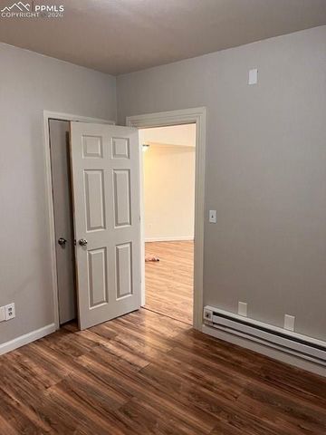 217 W Masonic Avenue, Cripple Creek, CO 80813