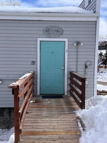 217 W Masonic Avenue, Cripple Creek, CO 80813