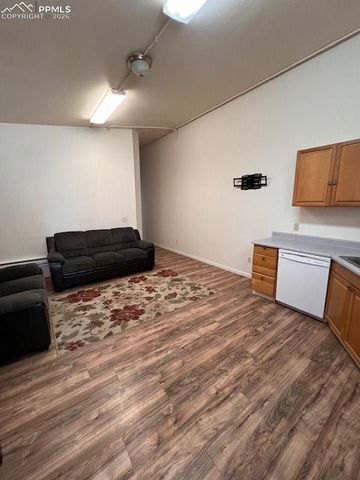 217 W Masonic Avenue, Cripple Creek, CO 80813