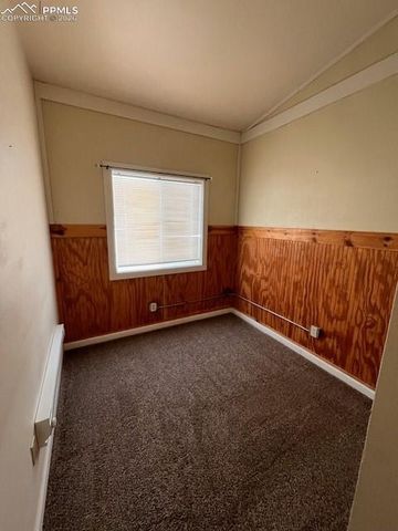 217 W Masonic Avenue, Cripple Creek, CO 80813