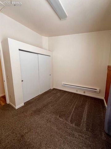 217 W Masonic Avenue, Cripple Creek, CO 80813