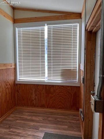 217 W Masonic Avenue, Cripple Creek, CO 80813