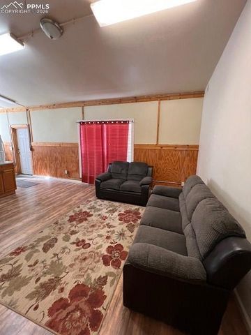 217 W Masonic Avenue, Cripple Creek, CO 80813