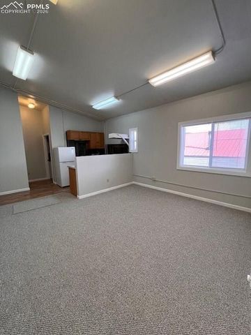 217 W Masonic Avenue, Cripple Creek, CO 80813