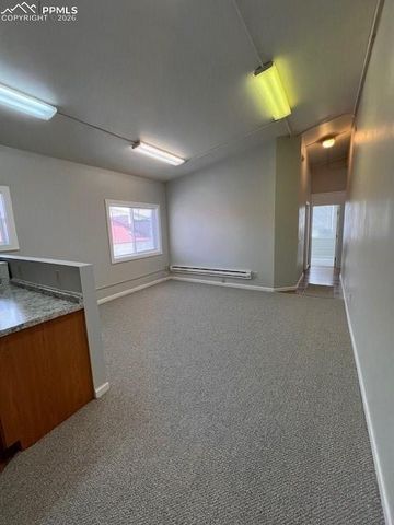 217 W Masonic Avenue, Cripple Creek, CO 80813