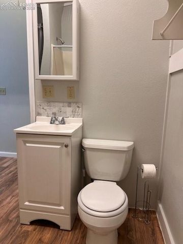 217 W Masonic Avenue, Cripple Creek, CO 80813