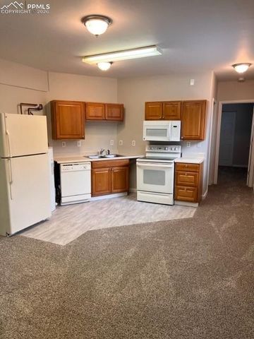 217 W Masonic Avenue, Cripple Creek, CO 80813