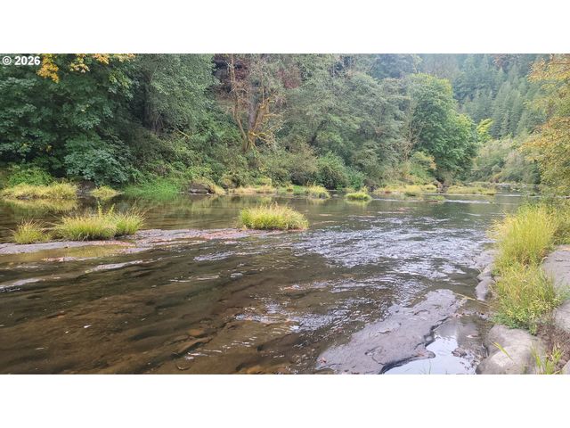 24608 LOWER SMITH RIVER Rd, Reedsport, OR 97467